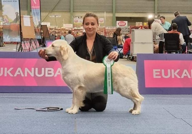 CH. terra di siena Flowers Never Bend With The Rain Fall