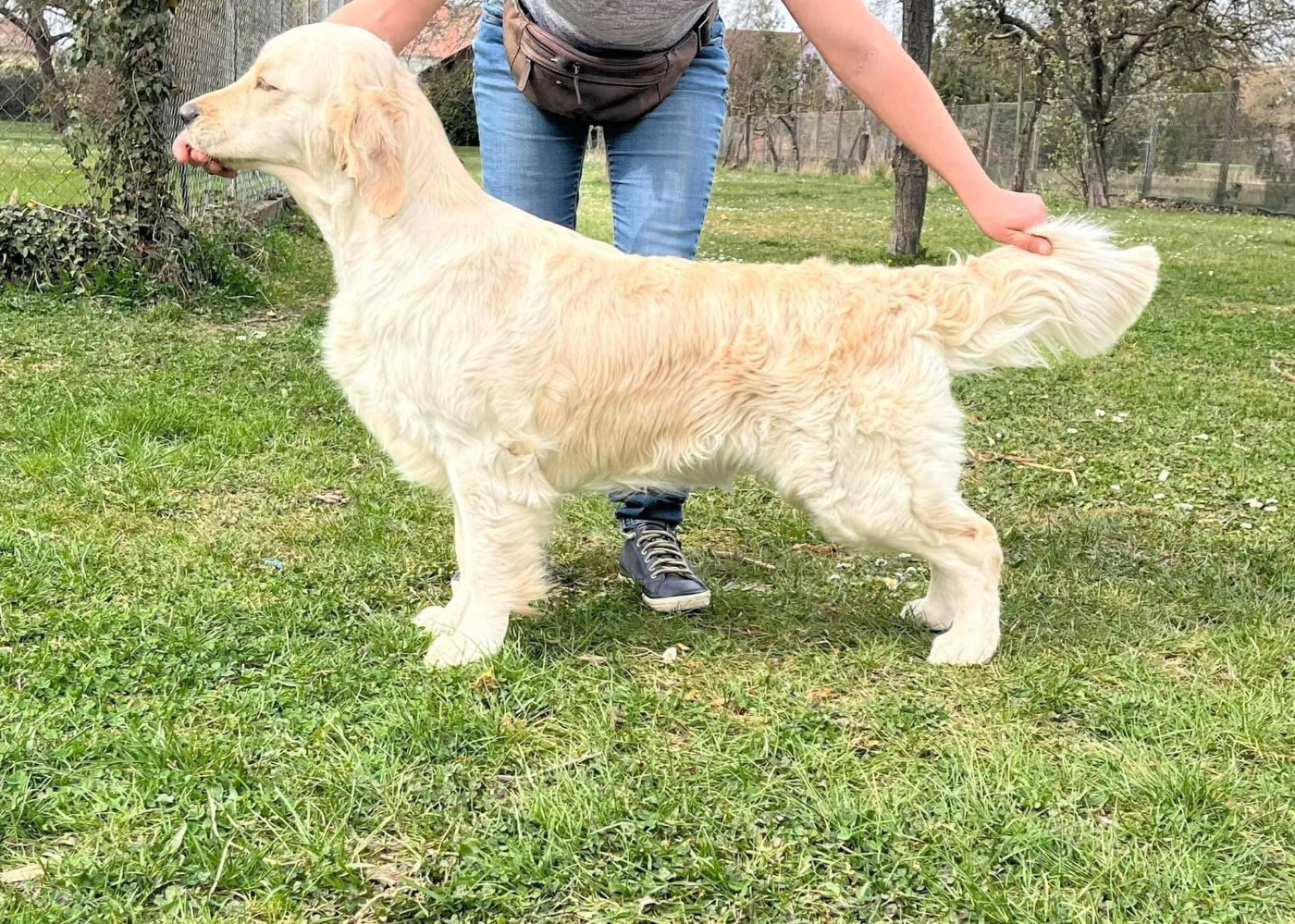 CH. terra di siena Flowers Never Bend With The Rain Fall