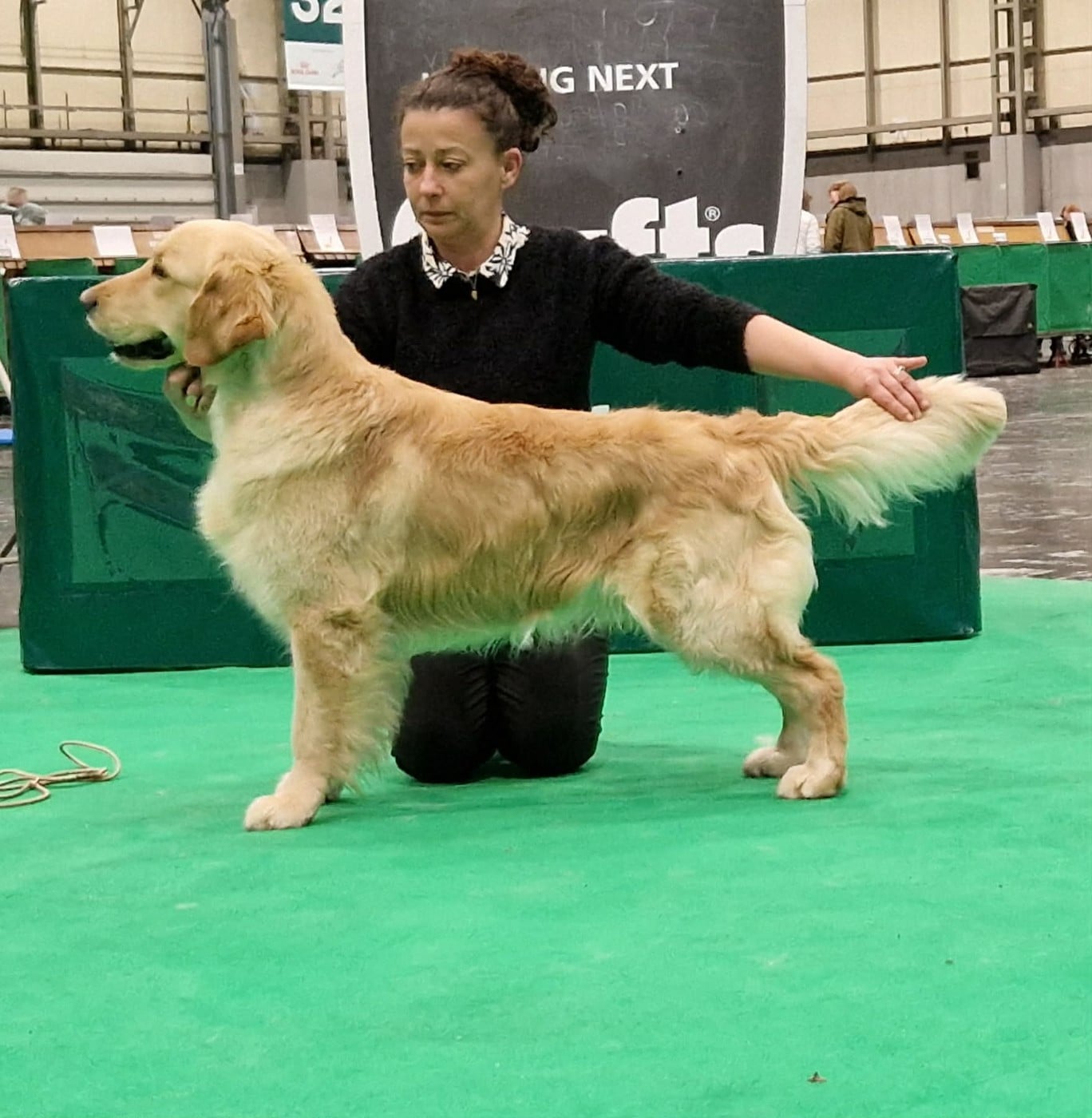 Vent D Liberte De La Cité Des Ribeaupierre