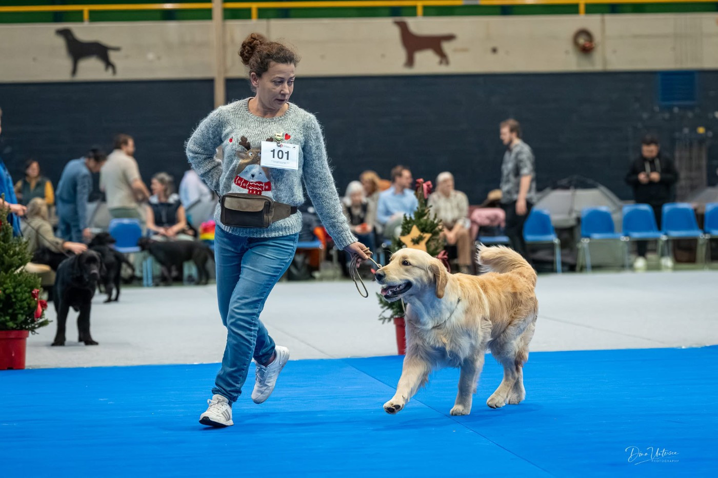 Vent D Liberte De La Cité Des Ribeaupierre