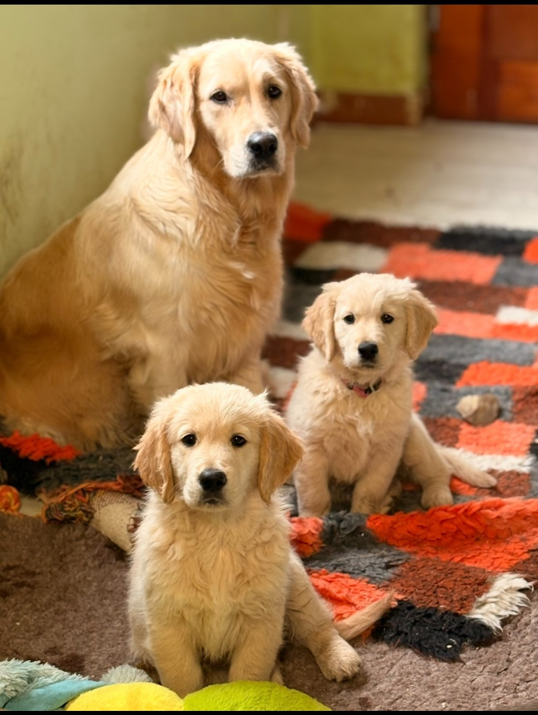 Vent D Liberte De La Cité Des Ribeaupierre