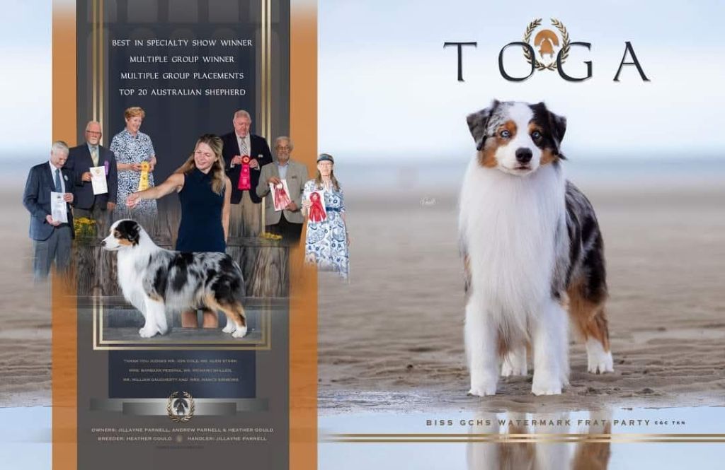 Publication : Roz Liammet