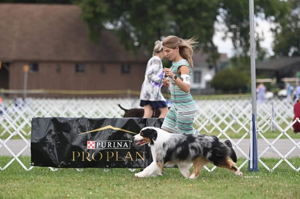 Publication : Roz Liammet