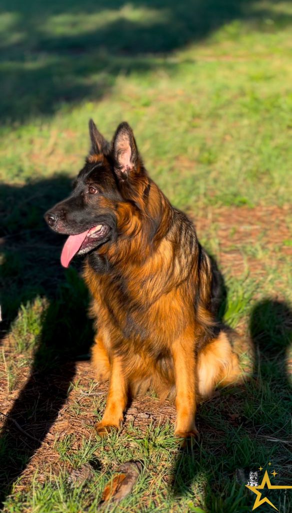 Atina Von Trixi Haus