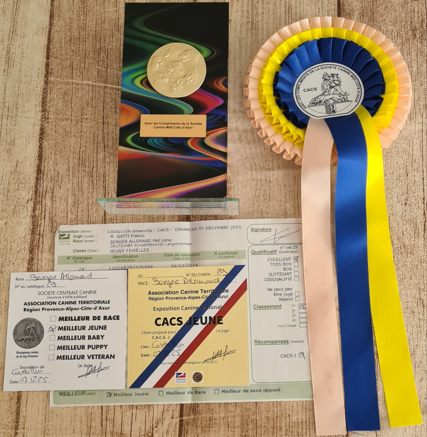 Violette Mille Et Une Etoile - 1er EXCELLENT, CACS-J, MEILLEURE JEUNE