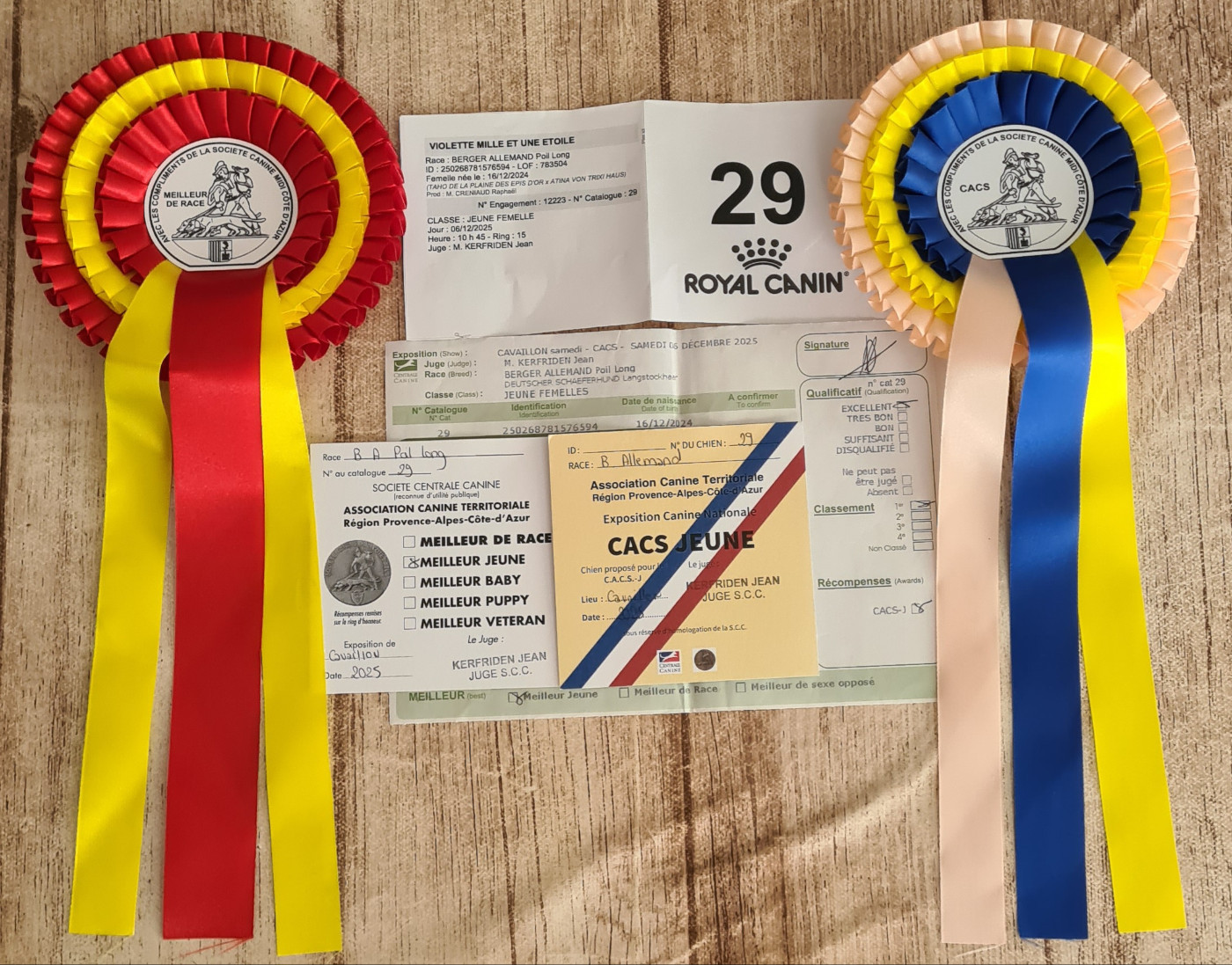 Violette Mille Et Une Etoile - 1er EXCELLENT, CACS-J, MEILLEURE JEUNE