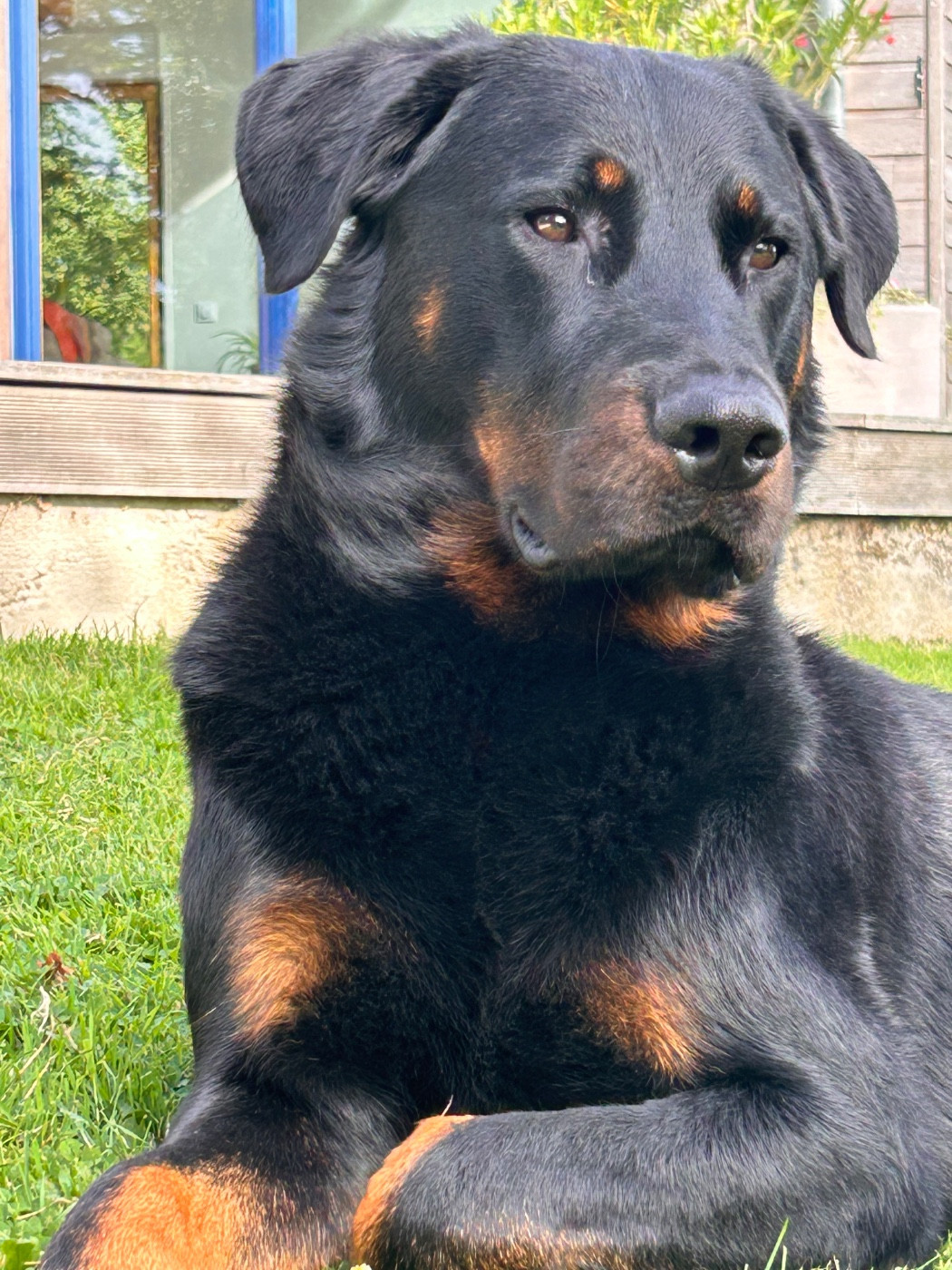 Publication : Emmanuel MONIER Auteur : Frédéric Picouet