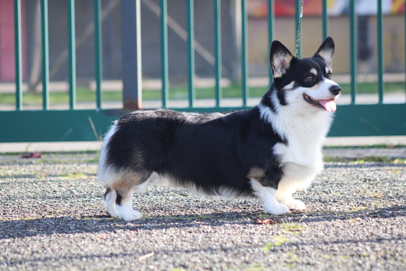 Night Keepish Lebkuchen