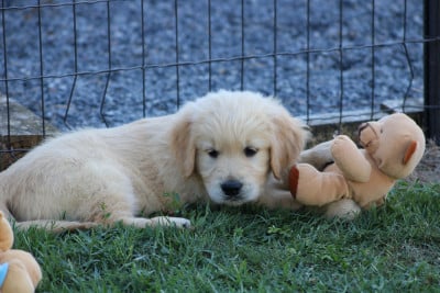 Domaine Des Bois Flottés
