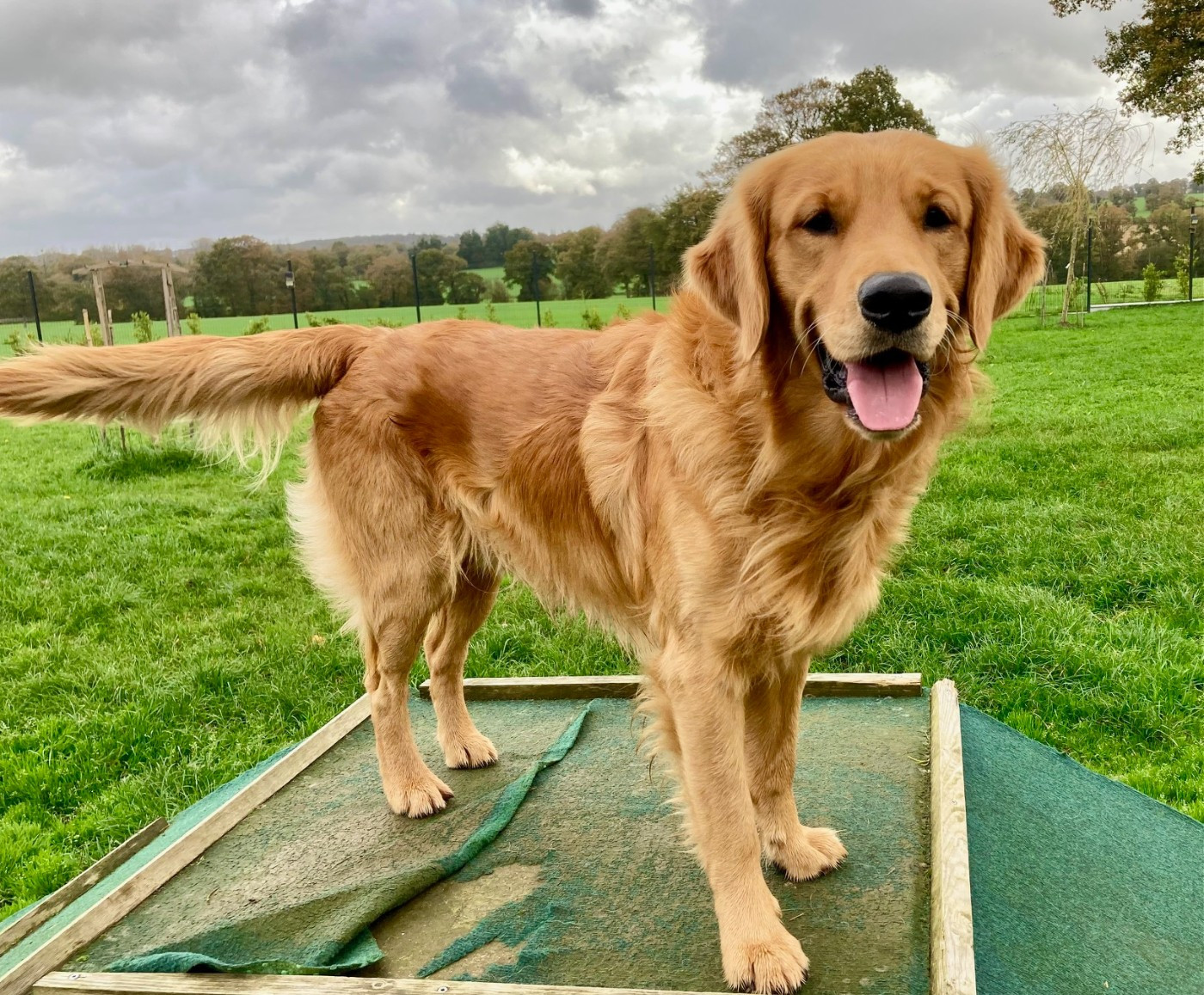 Ufig Du haut de crecy
