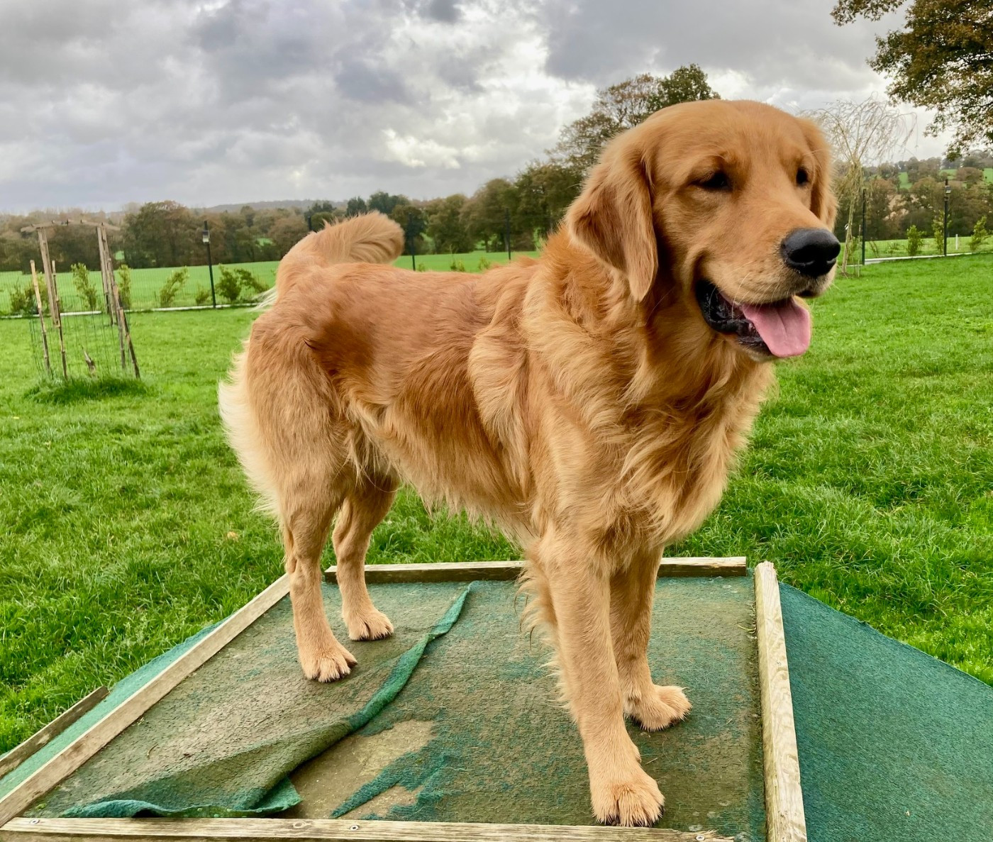 Ufig Du haut de crecy
