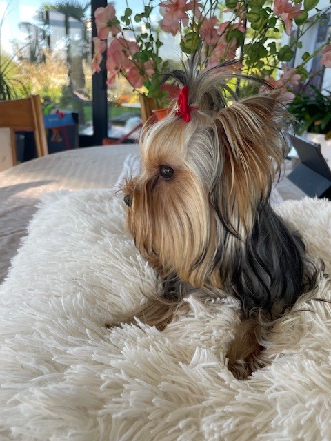 Alma Des Minis Bouts