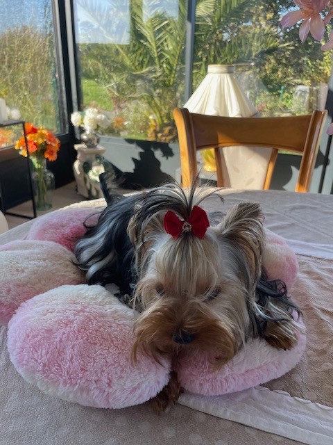 Alma Des Minis Bouts