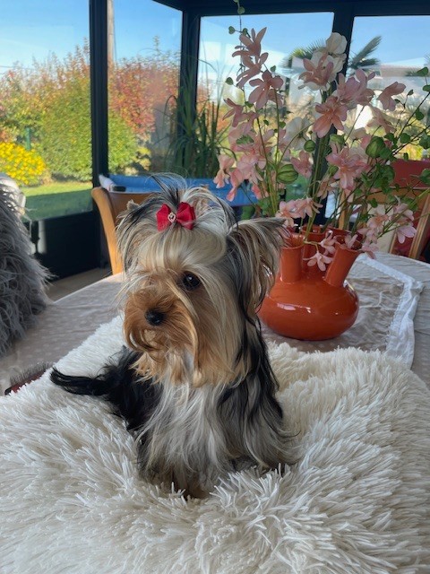 Alma Des Minis Bouts