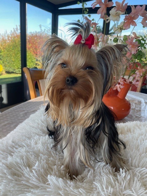 Alma Des Minis Bouts