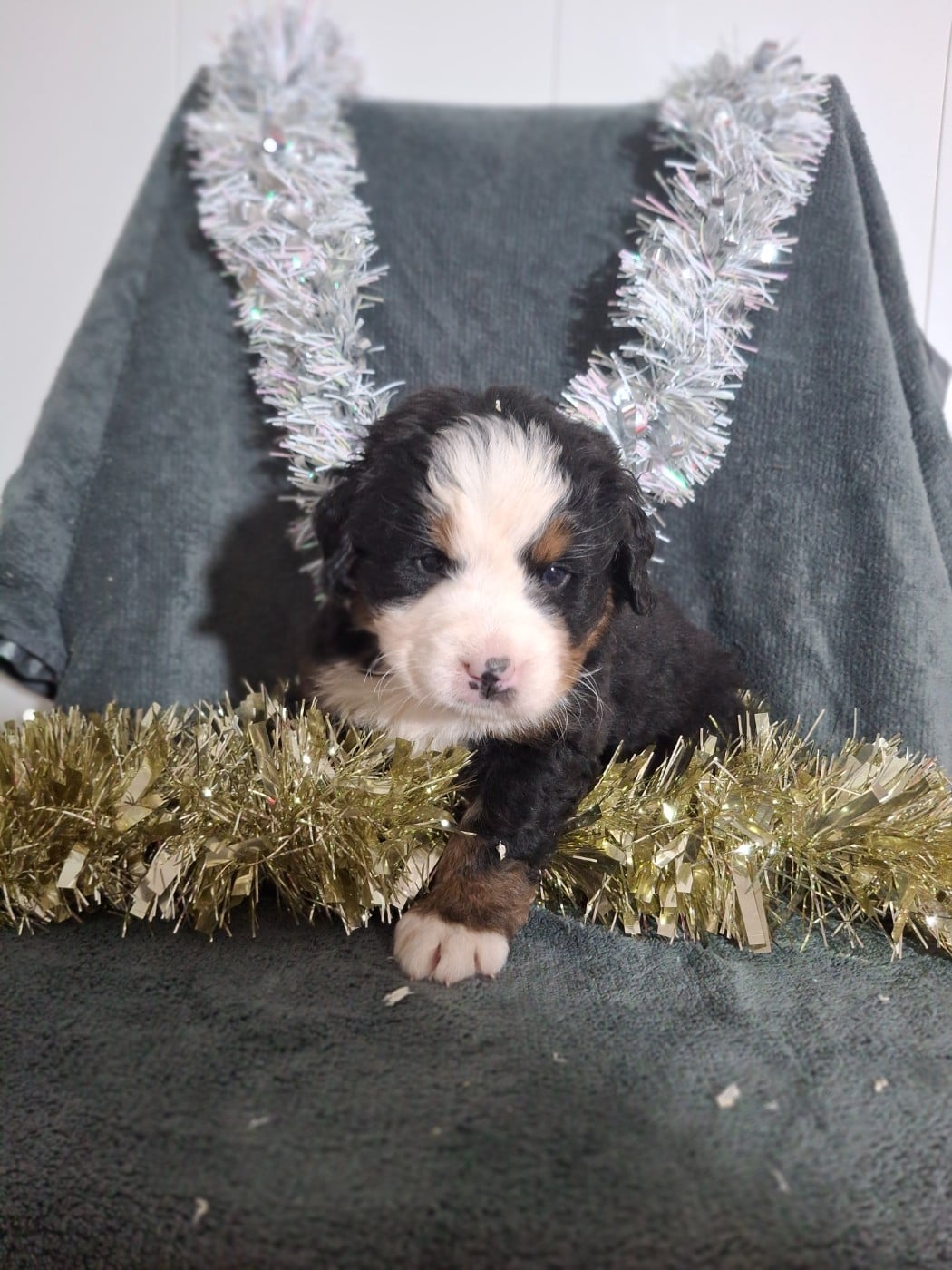 Collier vert "Aura Sakuma"