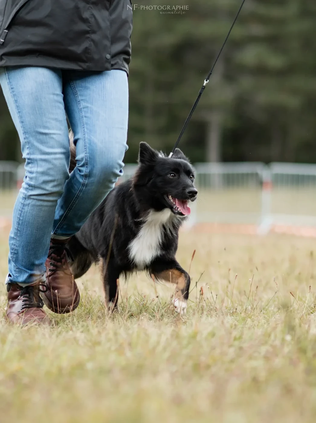 Saad De La Tanière De Saint Loup