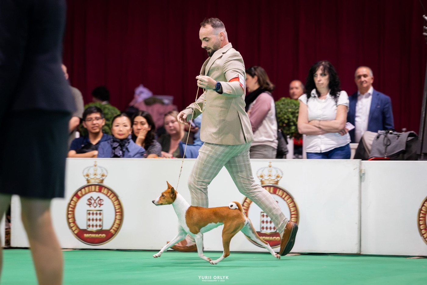 Publication : Of Trans Africas Dynastie