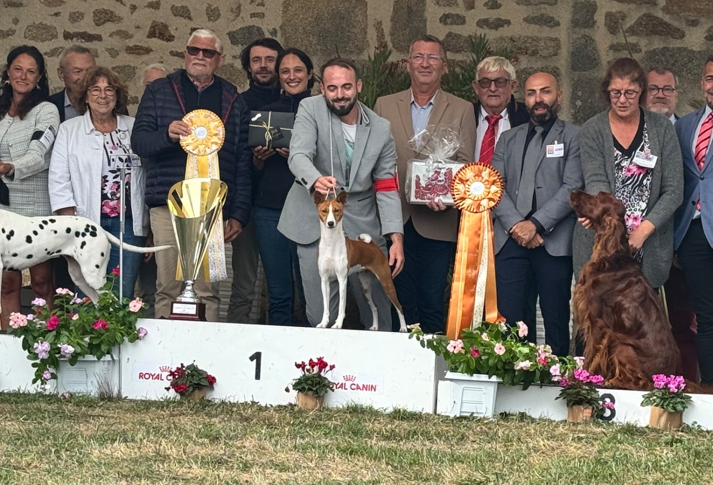 Publication : Of Trans Africas Dynastie