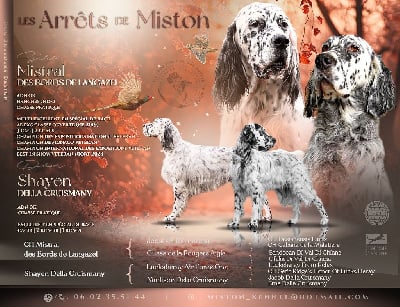 Des Arrêts De Miston