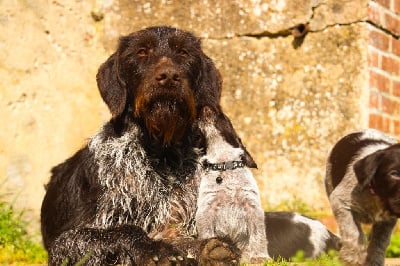Des Arrêts De Miston