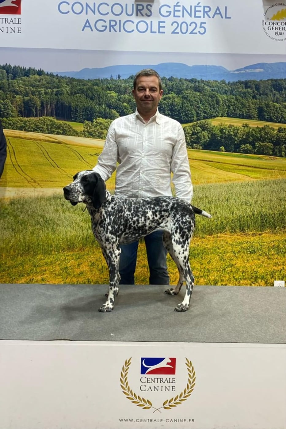 CH. Tokyo II  des englettes