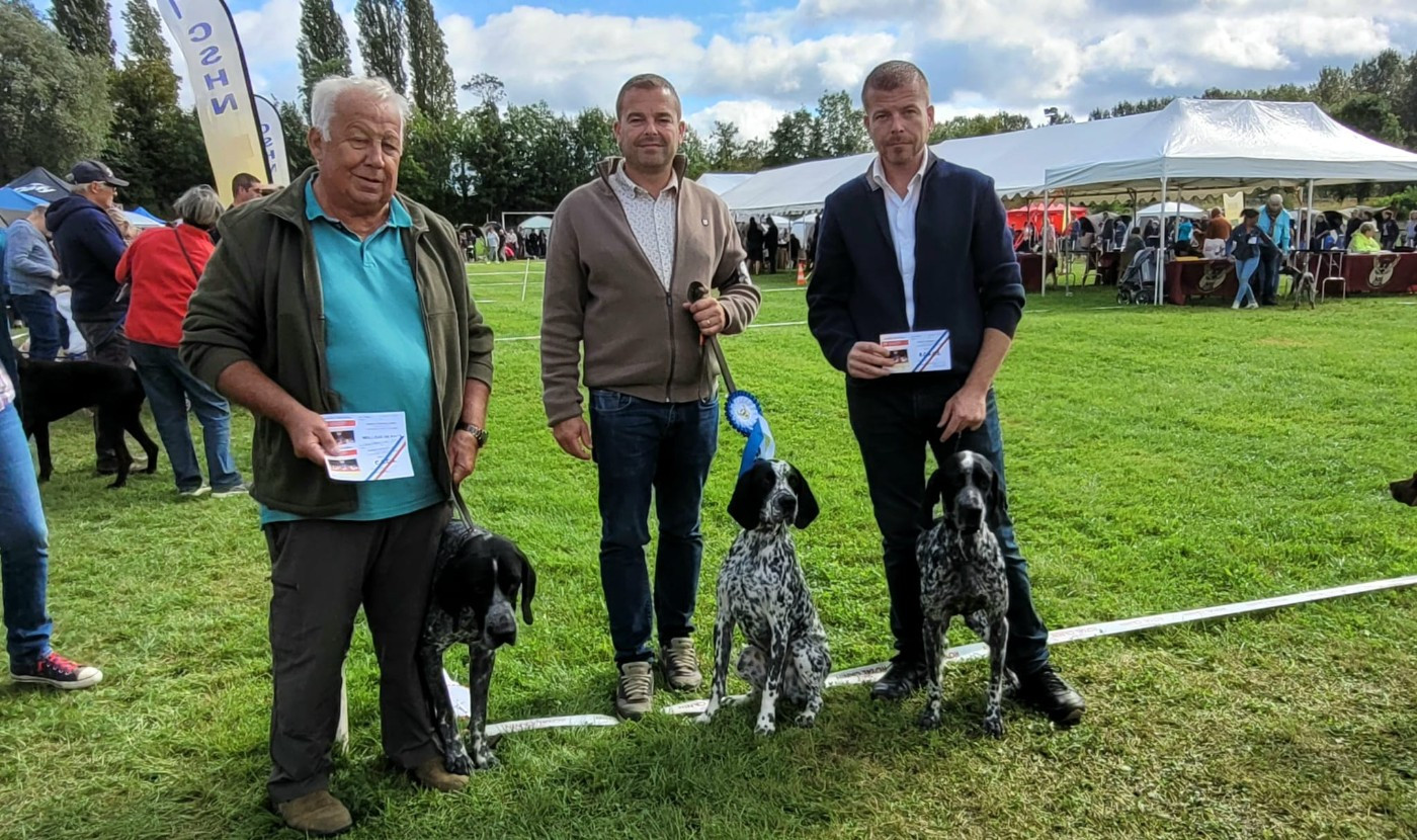 CH. Tokyo II des englettes - Travail - 1er Excellent CACS Meilleur de Race