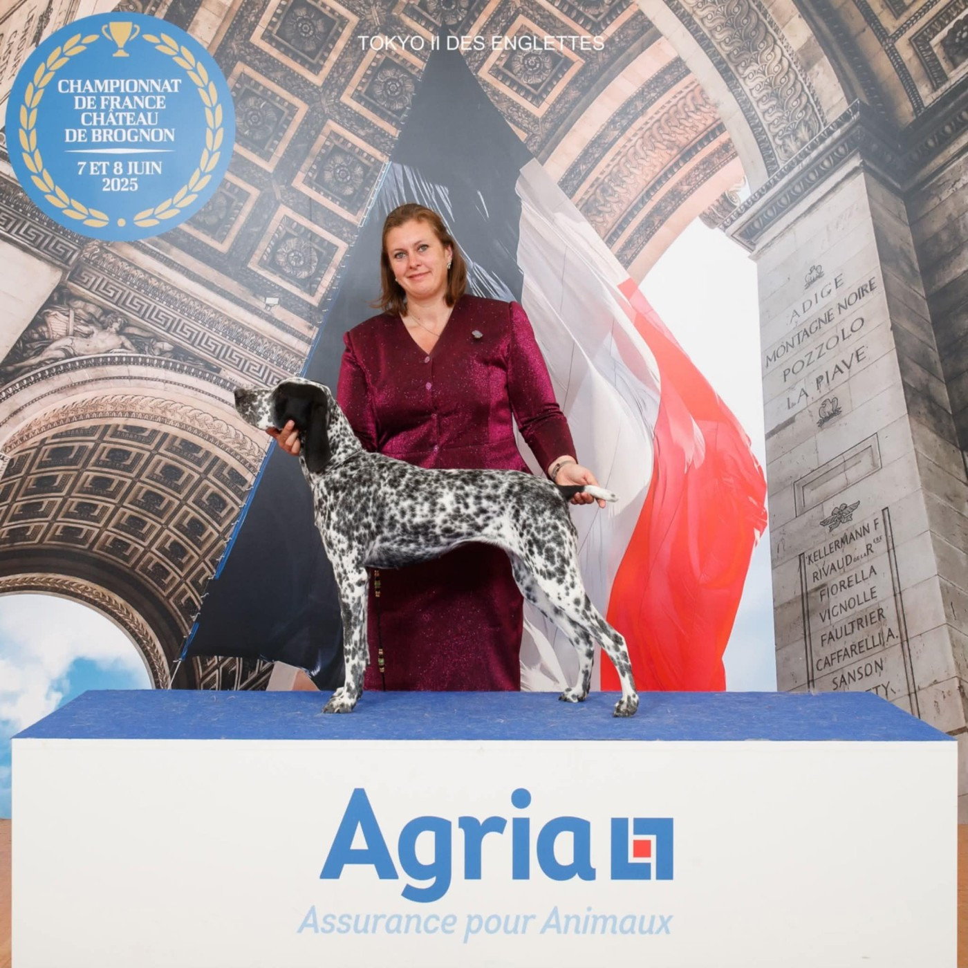 CH. Tokyo II des englettes - Travail - 1er Excellent CACS CACIB Meilleur de sexe opposé