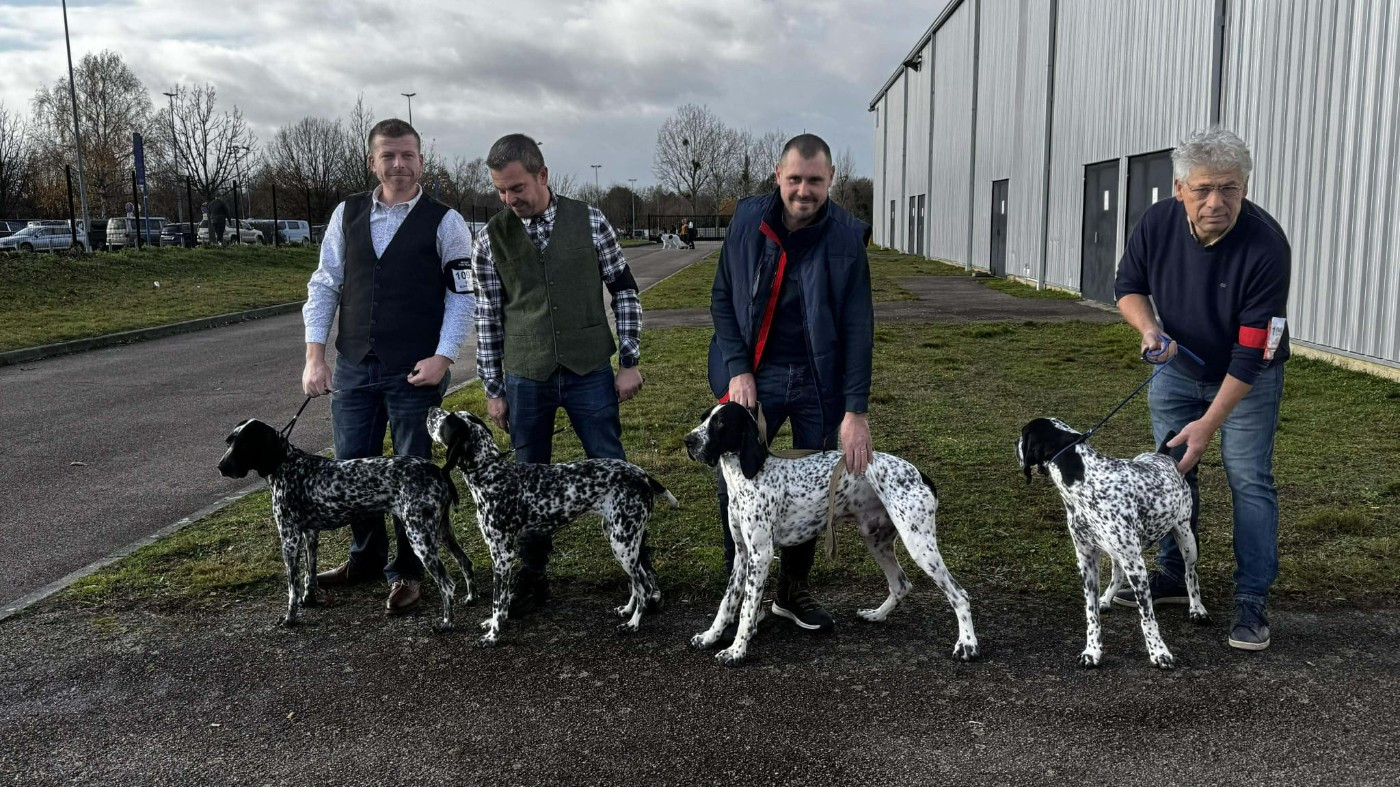 CH. Tokyo II des englettes - Travail - 1er Excellent CACS Meilleur de sexe opposé