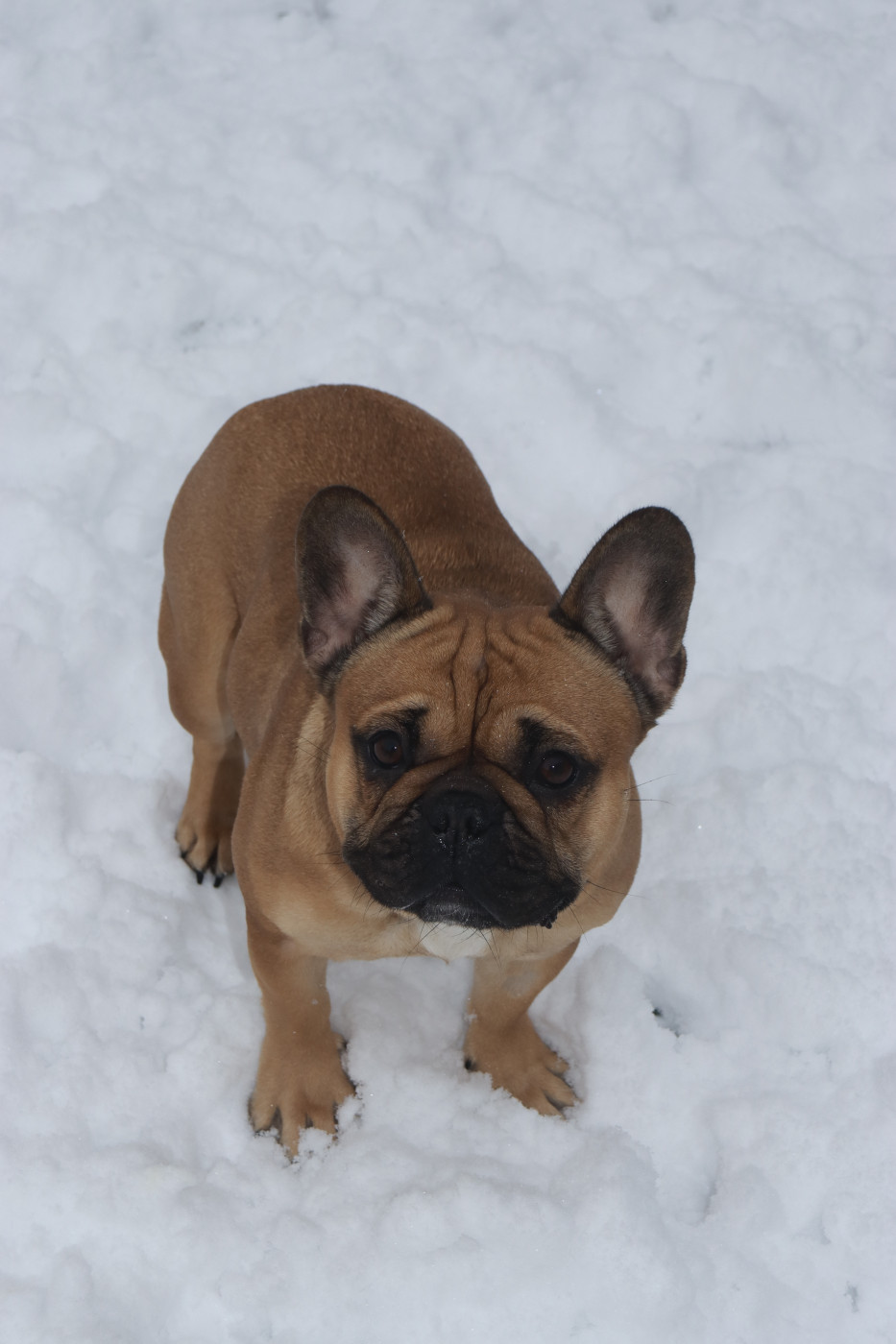 Una du Domaine des Bastidiens