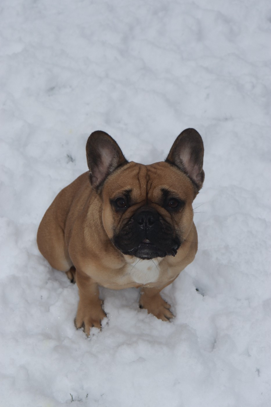 Una du Domaine des Bastidiens