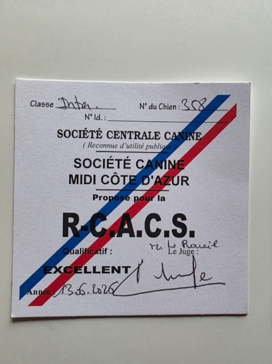 Viking Du Jardin Des Gones - R-CACS 1er EXCELLENT