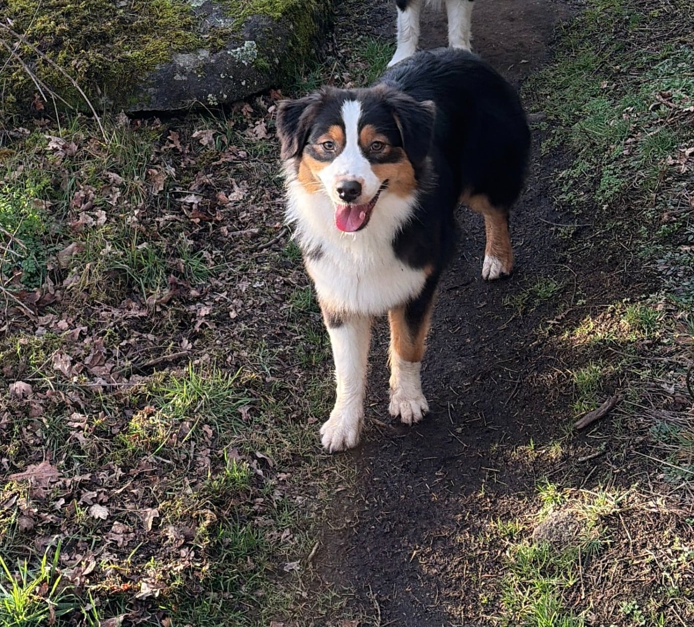 Publication : Des Carrières Du Maupuy