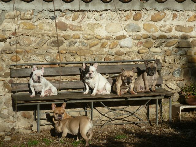 Publication : des brumes d'aurore Auteur : Laurence Huiban