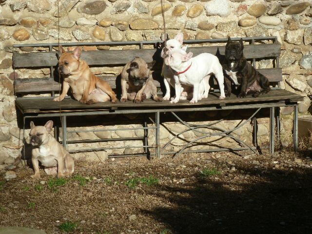 Publication : des brumes d'aurore Auteur : Laurence Huiban