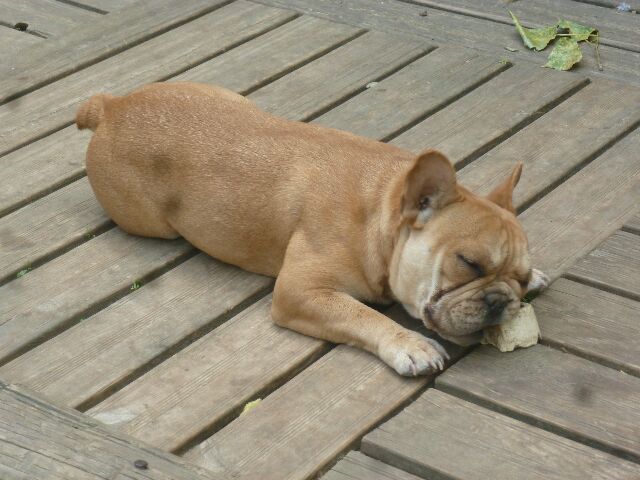 Publication : des brumes d'aurore Auteur : Laurence HUIBAN Oriane a 2 mois