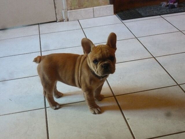 Publication : des brumes d'aurore Auteur : Laurence HUIBAN Oriane a 2 mois