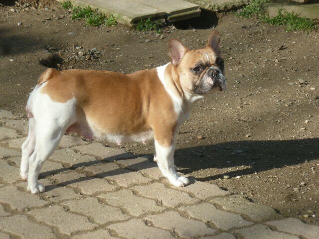 Publication : des brumes d'aurore Auteur : Laurence HUIBAN Oriane a 2 mois