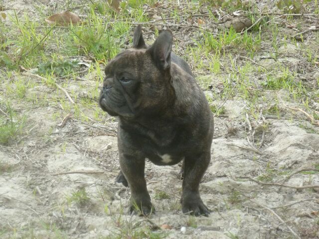 Publication : des brumes d'aurore Auteur : Laurence HUIBAN