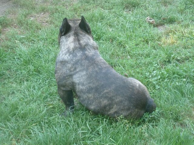 Publication : des brumes d'aurore Auteur : Laurence HUIBAN