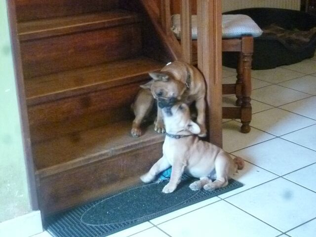 Publication : des brumes d'aurore Auteur : Laurence HUIBAN Oriane a 2 mois