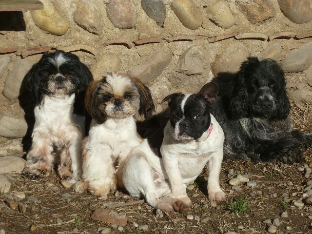 Publication : des brumes d'aurore Auteur : Laurence HUIBAN