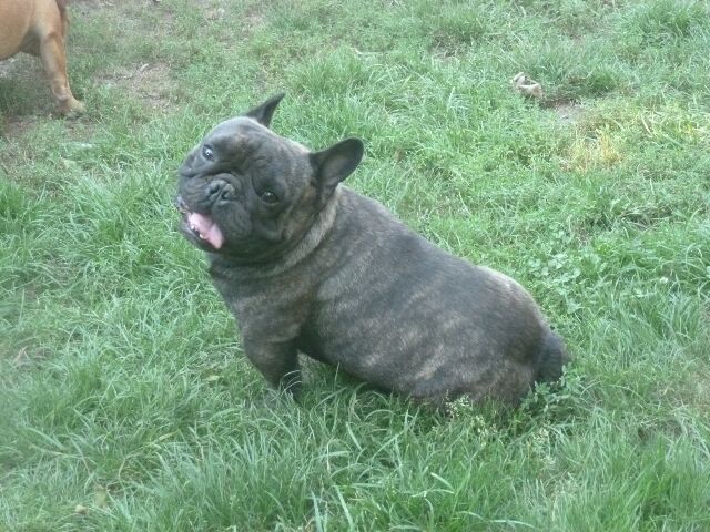 Publication : des brumes d'aurore Auteur : Laurence HUIBAN