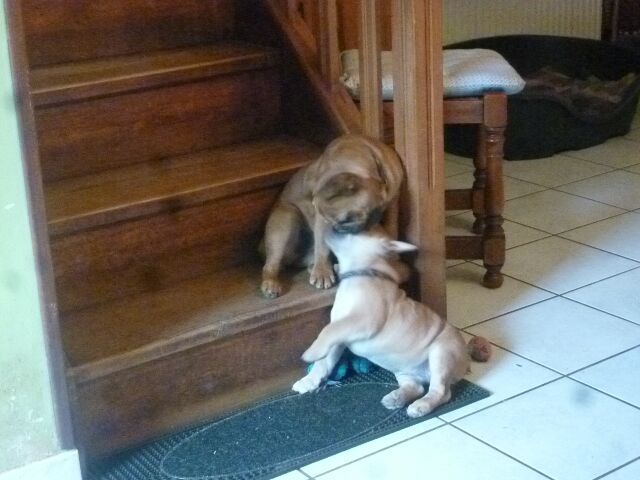 Publication : des brumes d'aurore Auteur : Laurence HUIBAN Oriane a 2 mois