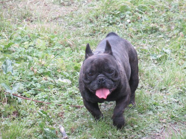 Publication : des brumes d'aurore Auteur : Laurence HUIBAN