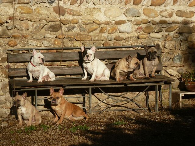 Publication : des brumes d'aurore Auteur : Laurence HUIBAN