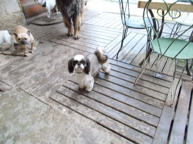 Publication : des brumes d'aurore Auteur : Laurence HUIBAN