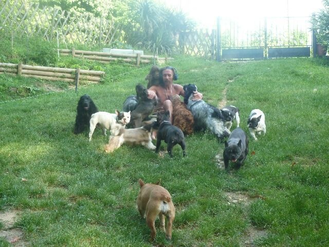 Publication : des brumes d'aurore Auteur : Laurence HUIBAN