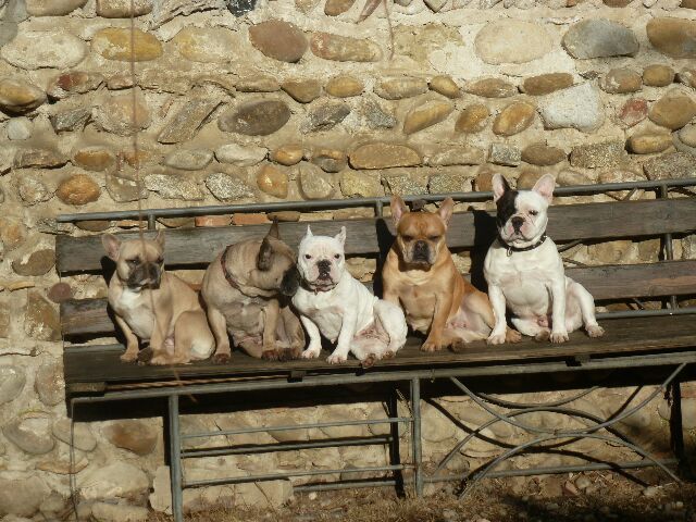 Publication : des brumes d'aurore Auteur : Laurence HUIBAN