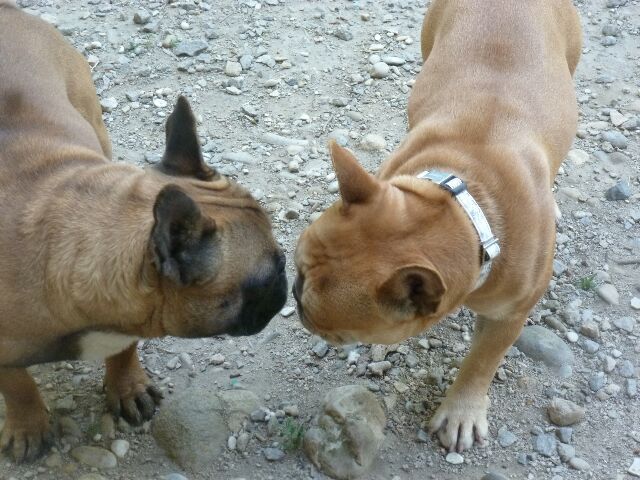 Publication : des brumes d'aurore Auteur : Laurence HUIBAN Oriane a 2 mois